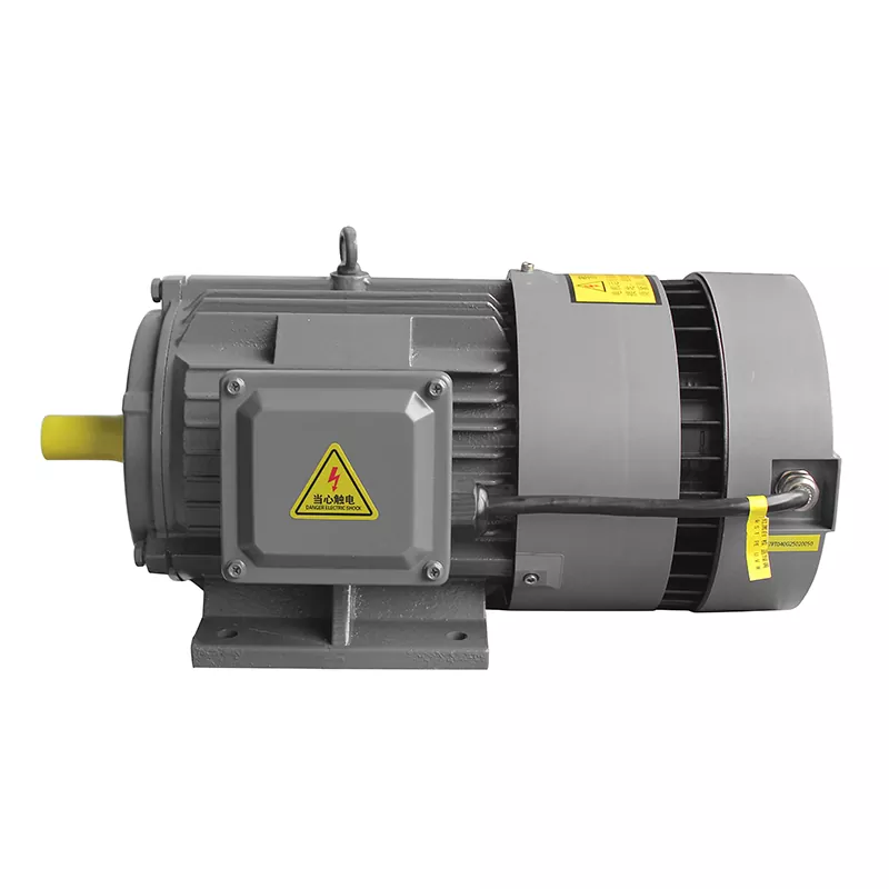 Integreret variabel frekvens PMSM: Fremtiden for elektriske motorer